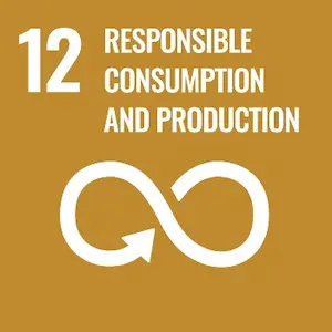 CSR Goals - 12 - Responsible consumption and protection