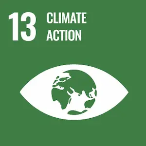 CSR Goals - 13 - Climate action