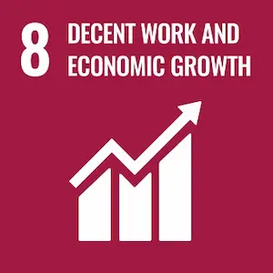 CSR Goals - 8 - Decent work and economy growth