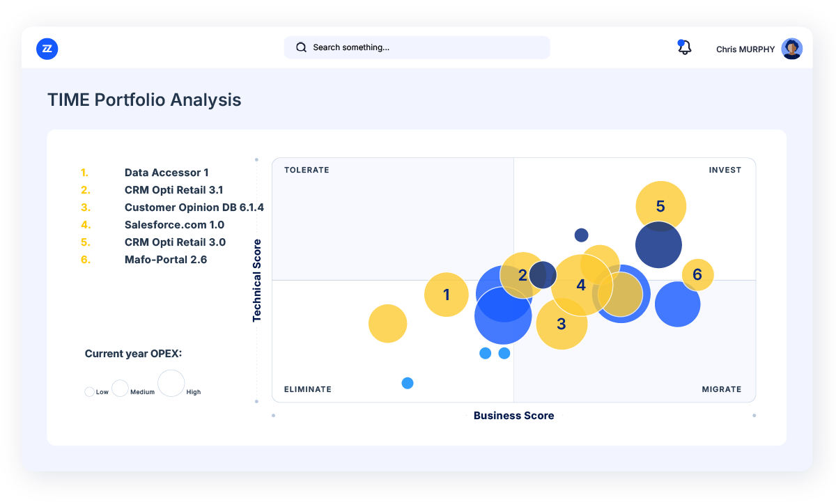 bizzdesign application portfolio rationalization platform view