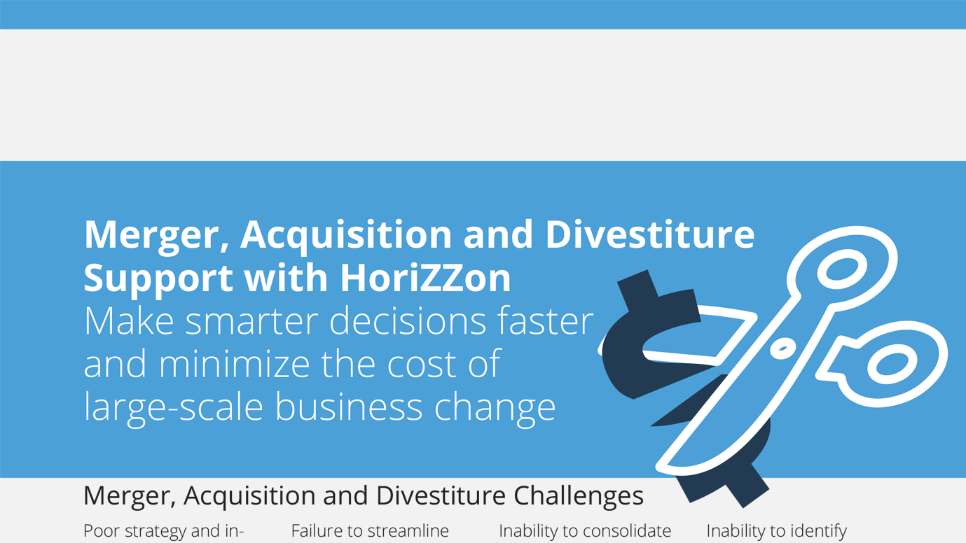 Merger, Acquisition and Divestiture Support with Horizzon