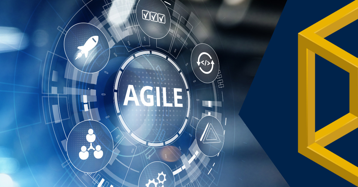 Agile Enterprise Architecture Management: Best Practices